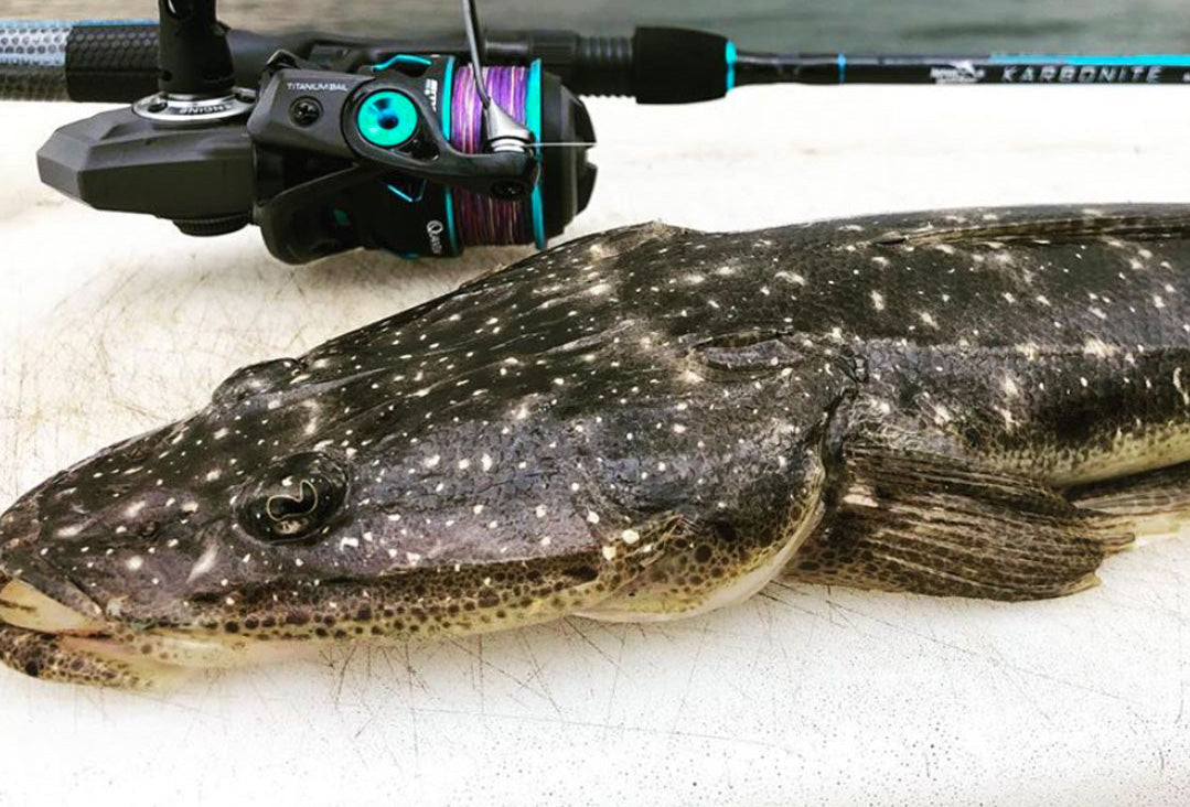 Mastering Flathead Fishing: A Guide to Soft Lure Techniques