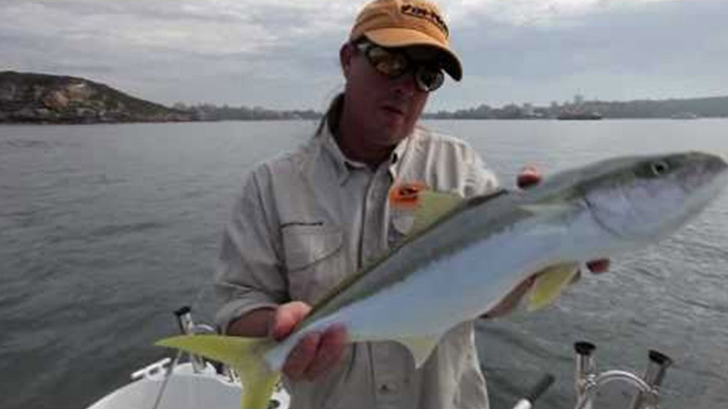 Fishing Sydney Harbour with Tsunami Stick Baits