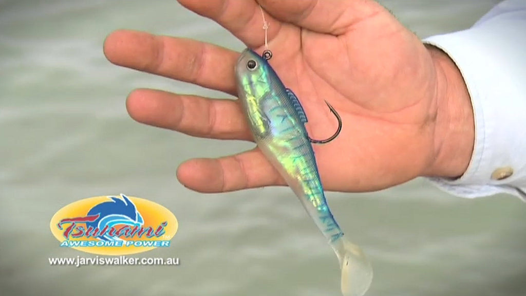 How to Series 2 - Soft Plastic Retrieves