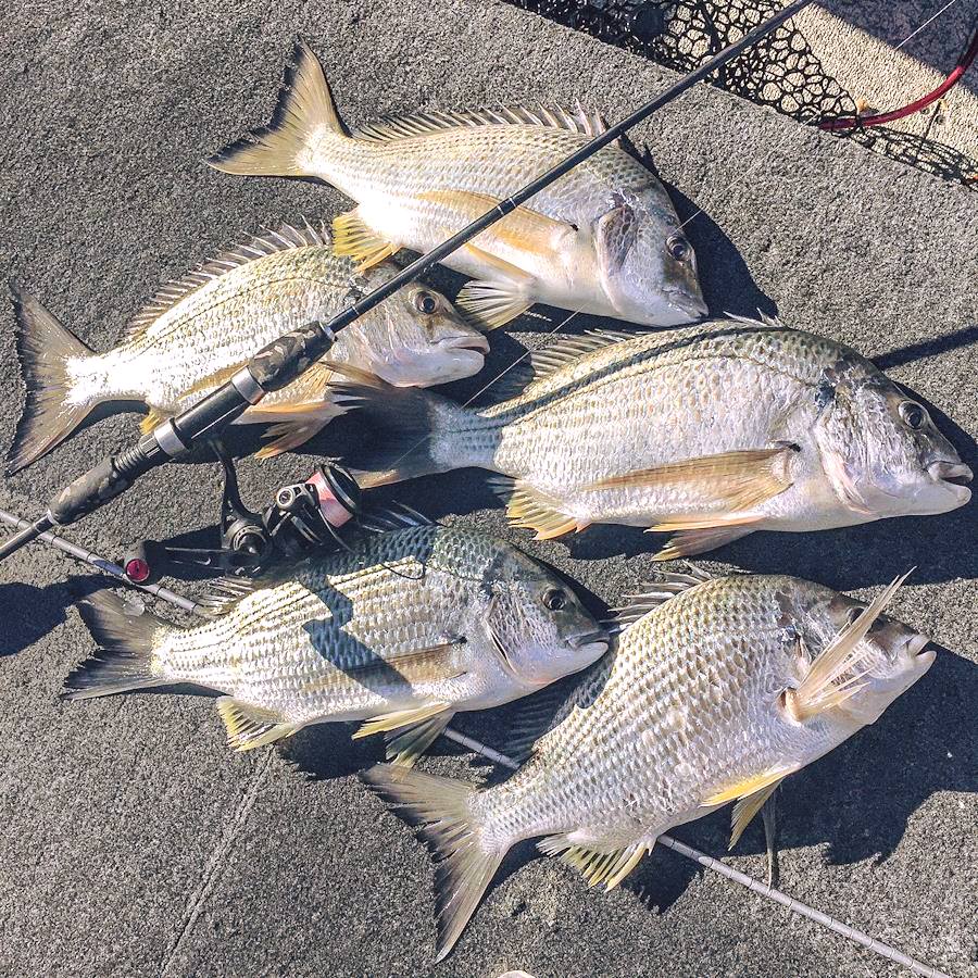 Fishing smarter