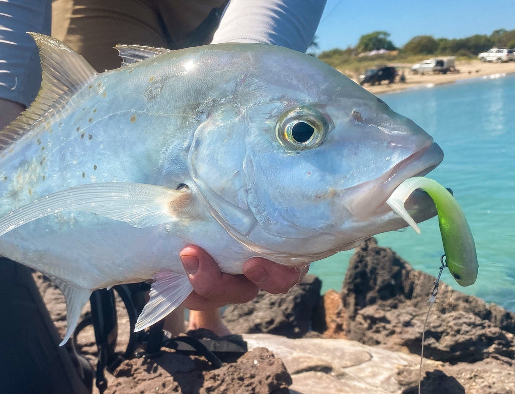 Lure Fishing - Catching More with Soft Plastics
