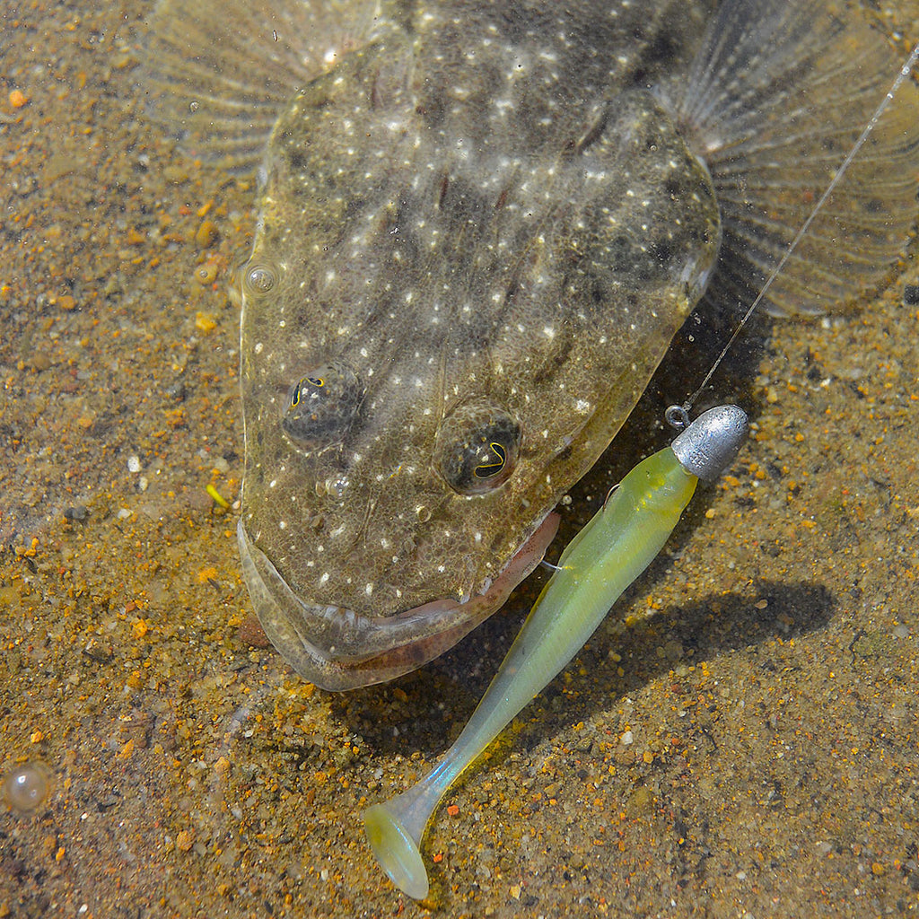 Flathead - Summer Tackle Set-up