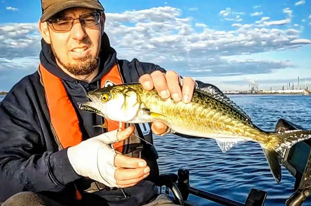 Lure Fishing - Tsunami Lures Pro Tips and Lure Suggestions for Popular Fish