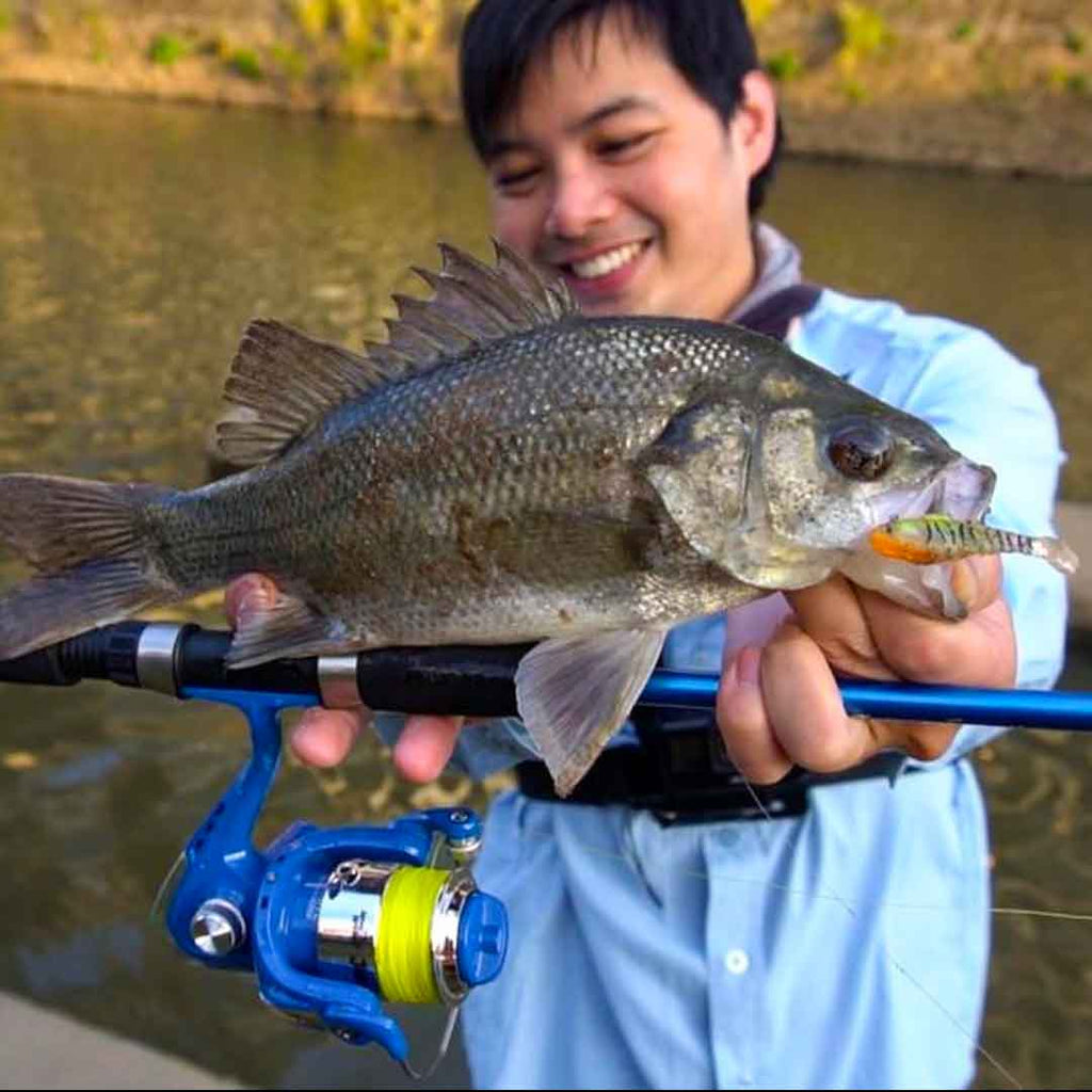 General Tips - Best time of day to fish