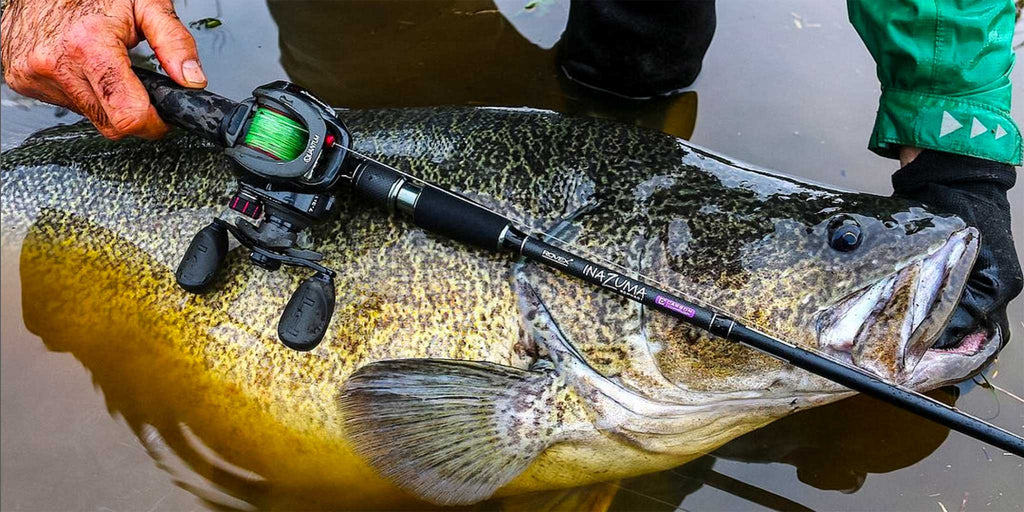 Rods - Lure Casting Rod Choices