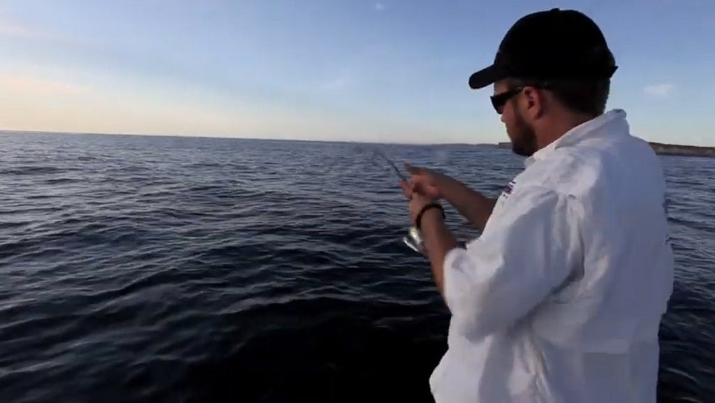 Sydney fishing - Light Tackle Action on Kingfish, Bonito and Amberjack