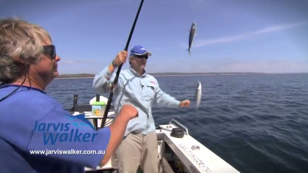 How to: Catching Baitfish on Sabiki Rigs