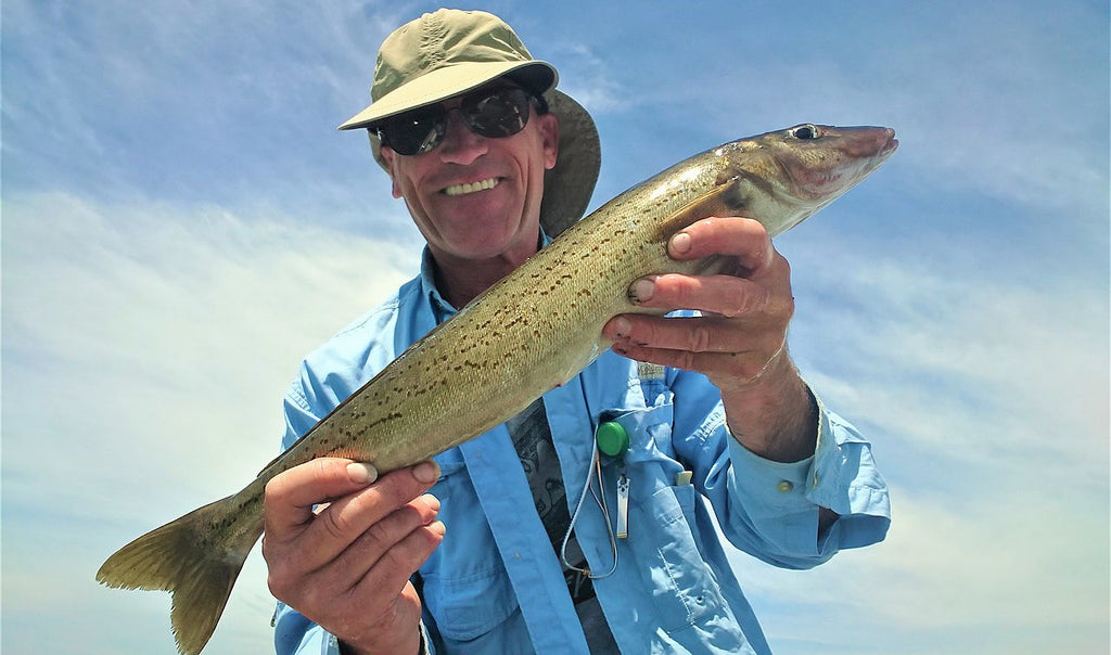How to Catch King George Whiting
