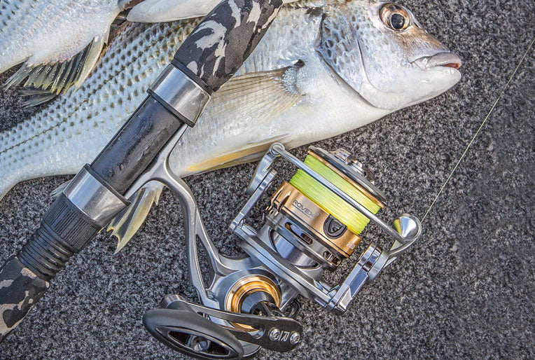 Choosing Equipment - Reel Buyer's Guide