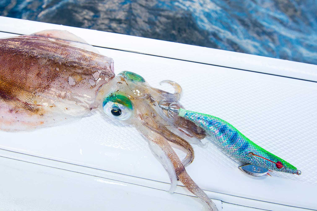 Tsunami Deluxe EGI Squid Jigs - Jarvis Walker – Jarvis Walker Brands